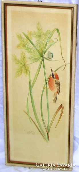 Contemporary painting depicting a watercolor bird, marked 46.5 x 20, 44 x 17.5 cm.