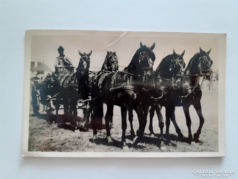 Régi lovas képeslap 1942 Debreceni ötösfogat fotó levelezőlap