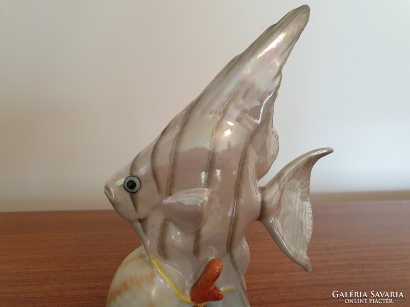 Régi Drasche porcelán tengeri hal kagylóval