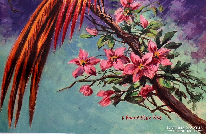 Trópusi madár, K. Baumeister 1938.