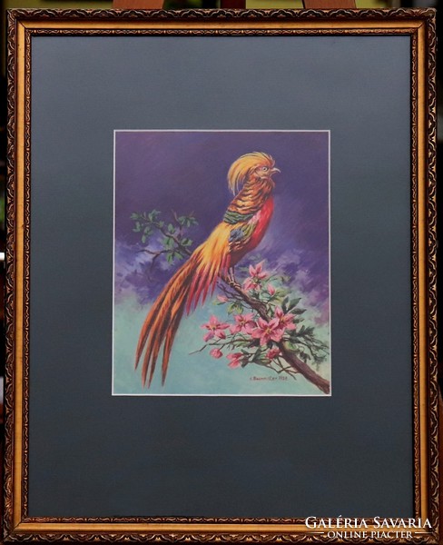 Tropical bird, k. Baumeister 1938.