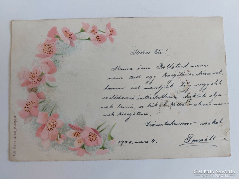 Régi virágos képeslap 1901 levelezőlap