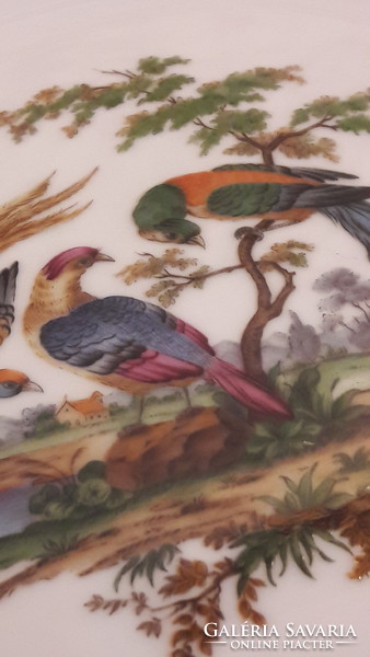 Trópusi madaras porcelán dísztányér, falitányér (L2250)