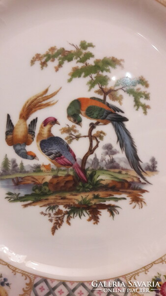 Trópusi madaras porcelán dísztányér, falitányér (L2250)