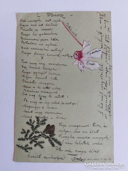 Old embossed postcard 1900 postcard pine branch cone cyclamen