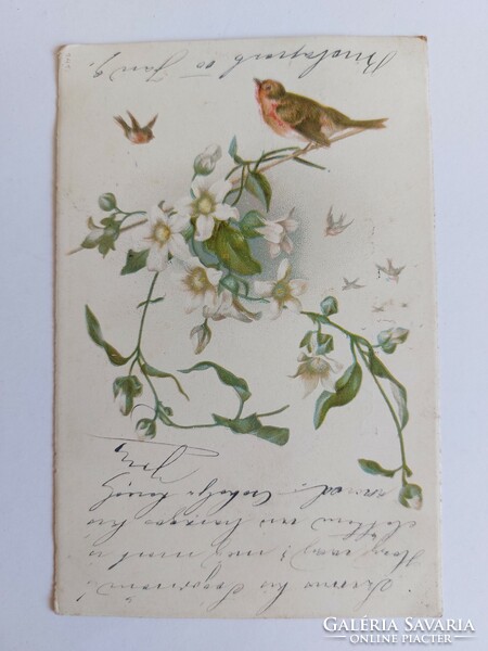 Régi képeslap 1900 levelezőlap virág kismadarak