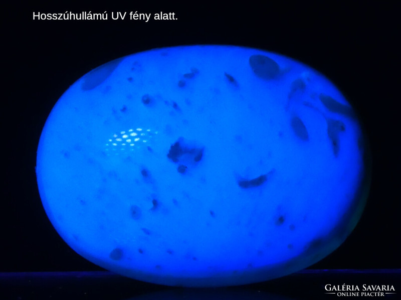 Természetes indonéz borostyán, csiszolt kék mintadarab 2,44 gramm. Fluoreszkáló UV-reaktív fosszília
