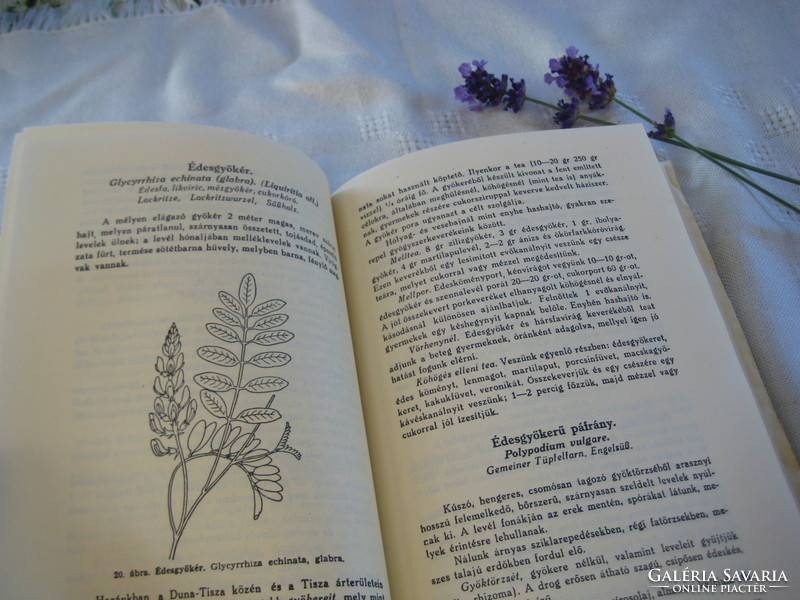 Medicinal effects of Varró aladár béla medicinal plants 1991. Medicinal herb book on 400 pages