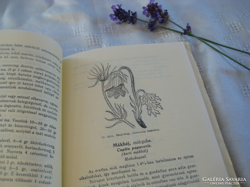 Medicinal effects of Varró aladár béla medicinal plants 1991. Medicinal herb book on 400 pages