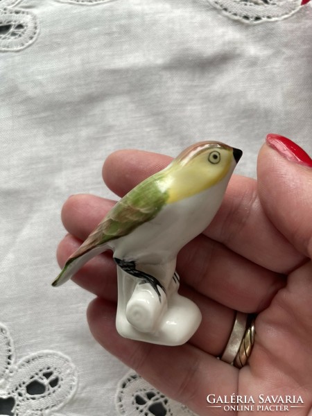 Hand painted little bird - aquincum