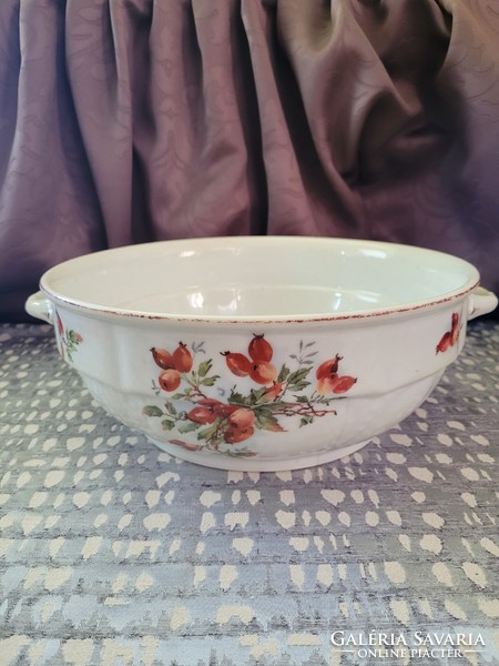 Art Nouveau majolica bowl with rosehip pattern