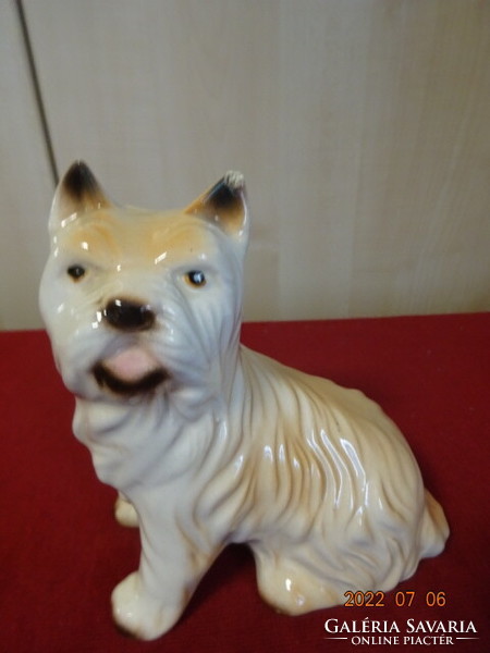 Német porcelán figura, világosbarna szőrű kutya. Vanneki! Jókai.