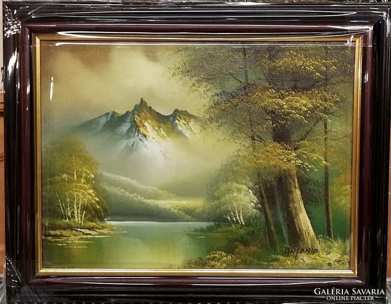 Beautiful, marked romantic landscape, beautiful, in a gift frame, km: 39 x 49