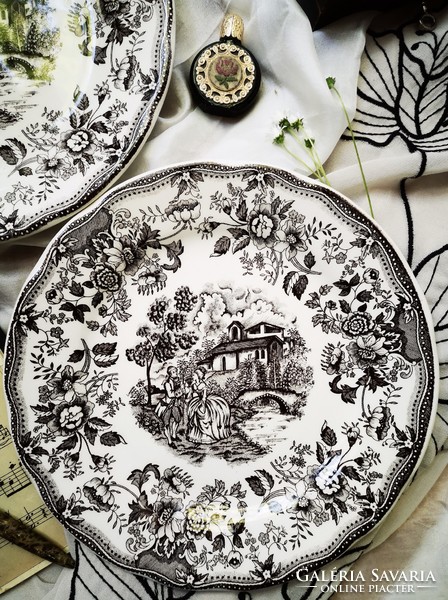 Ironstone tableware romantic black and white patterned plate