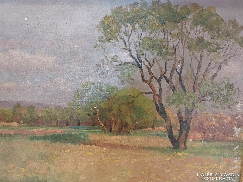 Emil Pap - Tata landscape