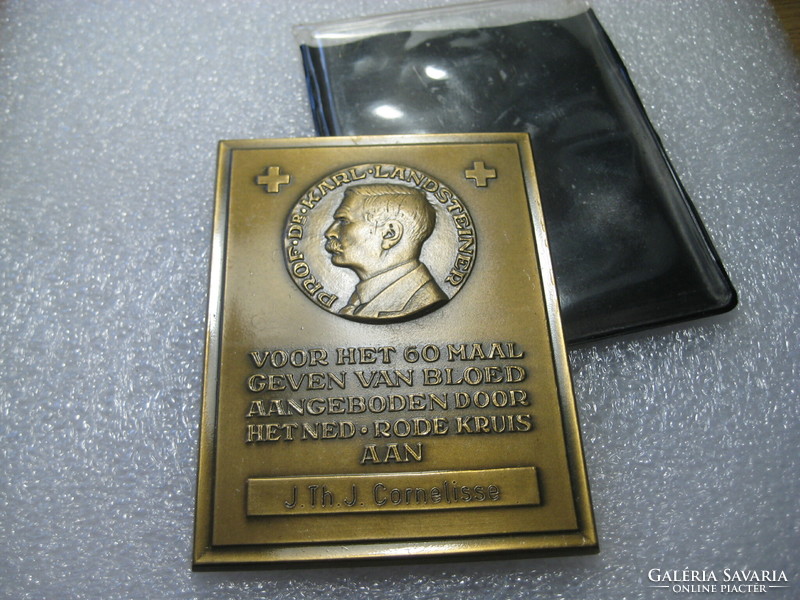 Dr Karl Landsteiner bronze plaque, plaque 62 x 82 mm