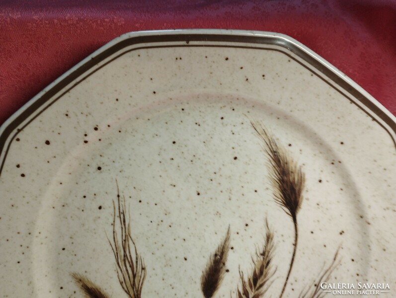 Kalász mintás porcelán nagy lapos tányér pótlásra 2 darab