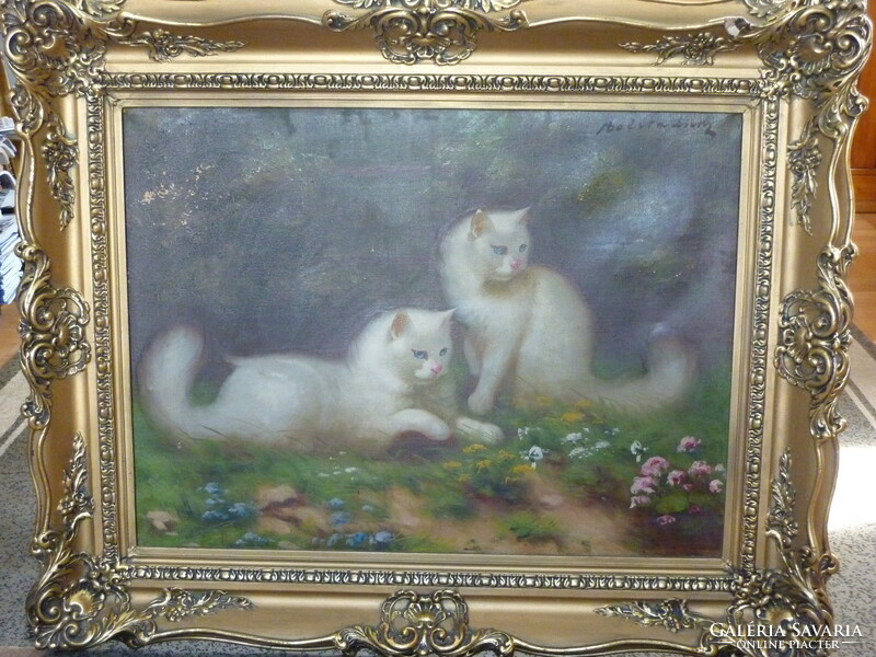 Benő Boleradszky for sale: Persian cats, oil canvas painting