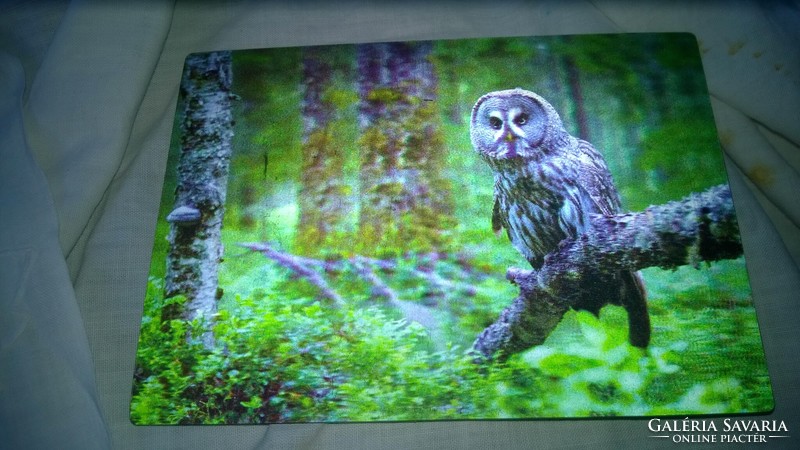 3 Dimensional postcard owl owl 147x105