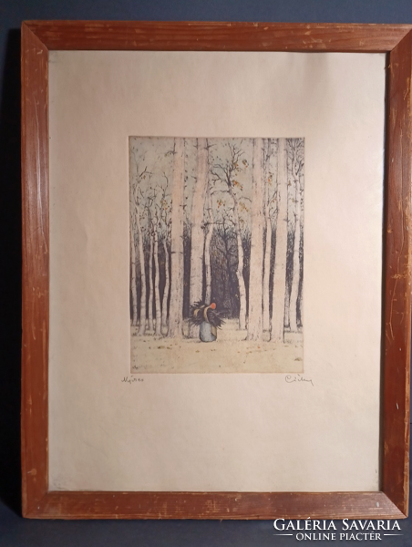 József Csillag: birch - colored etching (38×48)