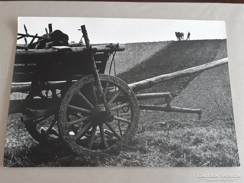 György Gebhardt: ploughing, artistic photo