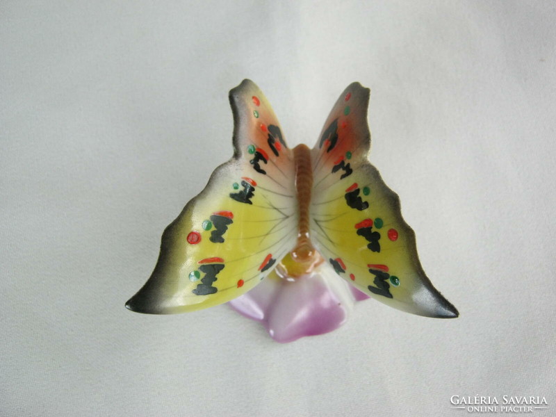 Drasche quarries porcelain butterfly butterfly