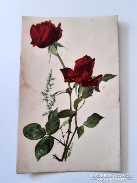 Régi virágos képeslap vörös rózsás levelezőlap
