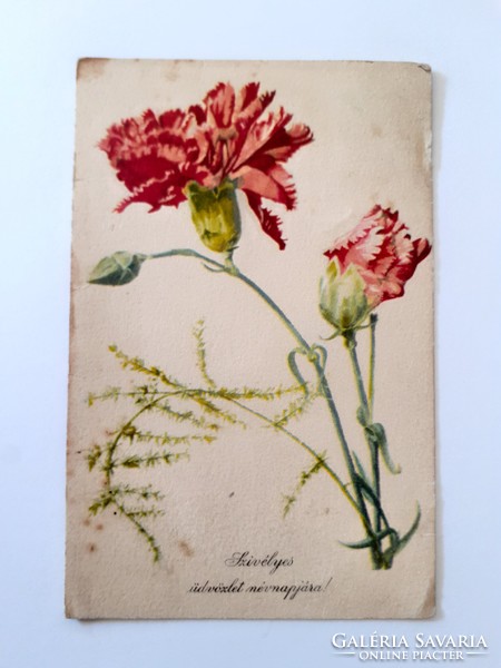 Régi virágos képeslap szegfű levelezőlap