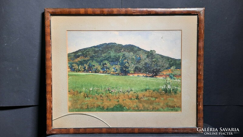 Novák F. akvarell, 1918 - virágos mező a domboldalban - tájkép (30x38 cm)