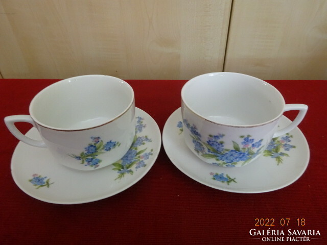 Antique Zsolnay porcelain tea cup + coaster, cornflower pattern. Two pieces. He has! Jokai.
