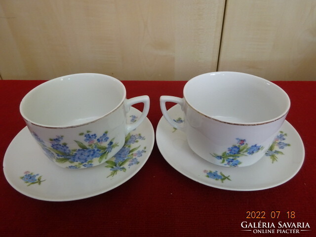 Antique Zsolnay porcelain tea cup + coaster, cornflower pattern. Two pieces. He has! Jokai.