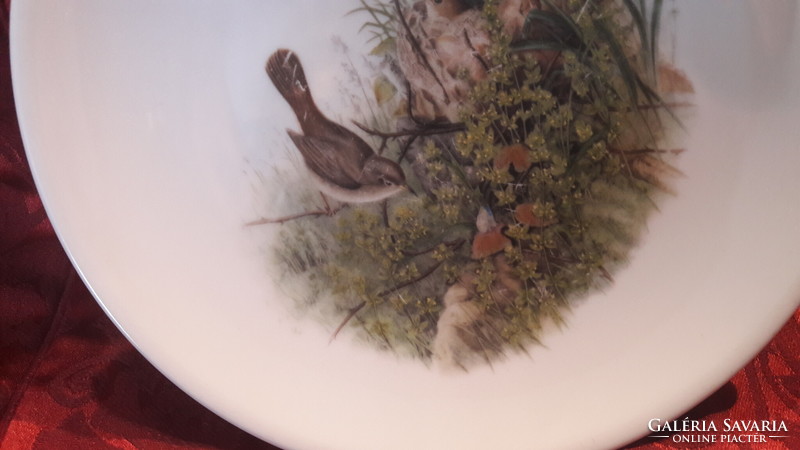 Poszátás porcelán tányér, madaras falitányér (L2576)