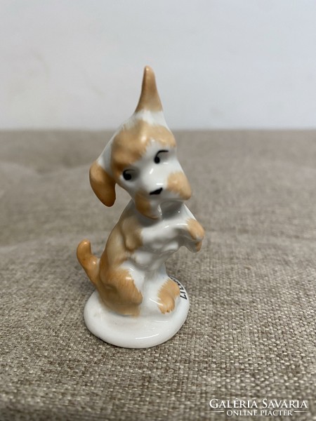 Aquincum porcelain mini dog a22