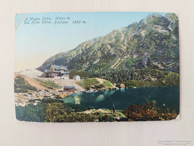 Tátra, Halas tó, 1910 (1) régi képeslap, Felvidék