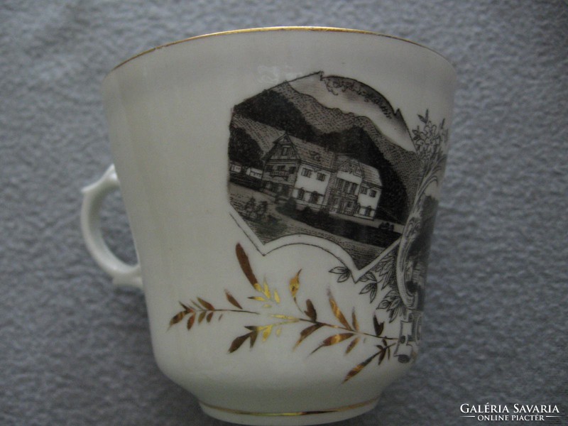 Collectible antique radmer hieflau souvenir cup