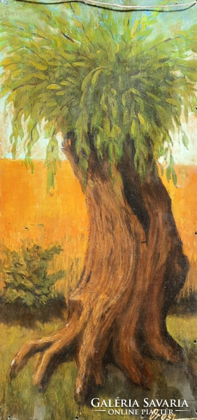 The old tree, marked 