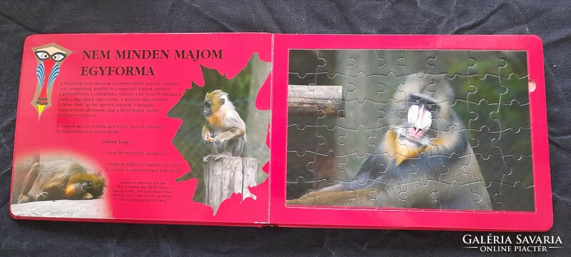 Ismerkedj az állatokkal! - puzzle-könyv - A majom