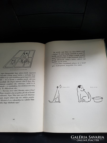 Dásenka-Egy kis Foxi élete.-1955-ös kiadás.