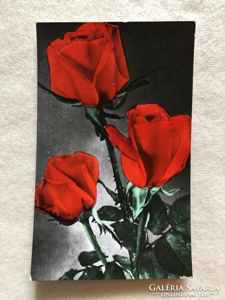 Régi Rózsa virágos képeslap