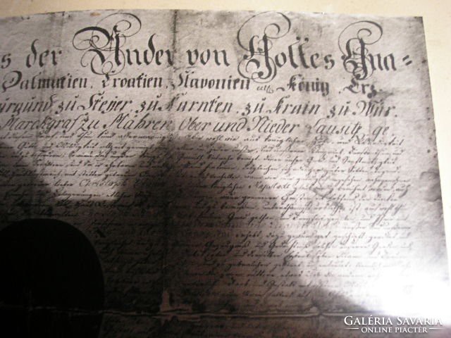 Copy of a diploma with a noble coat of arms in Gothic letters, 47x43 cm
