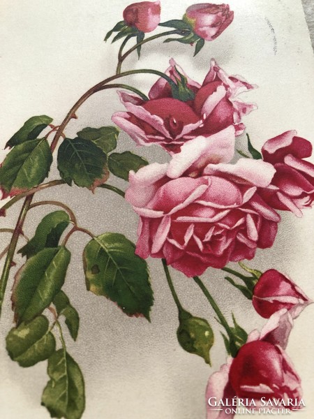 Antique old litho floral postcard