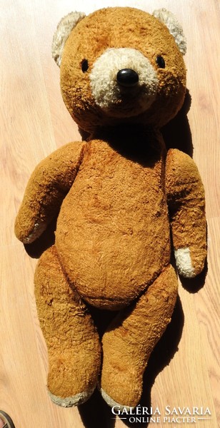 Old large teddy bear