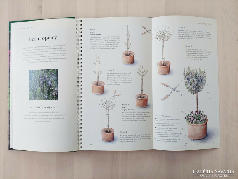 Gardening with herbs, fűszernövény kertészet, kreatív könyv, angol nyelvű