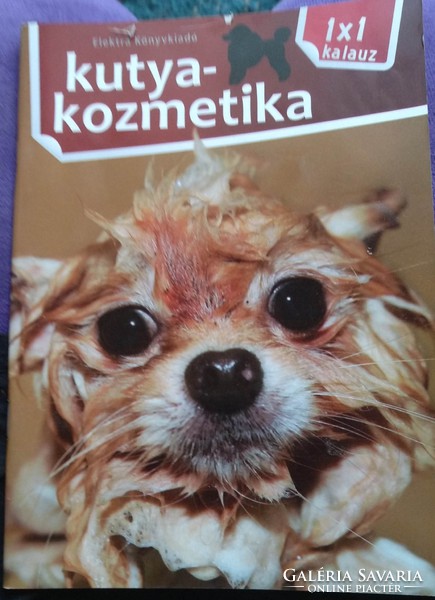 Kutyakozmetika Elektra kiadó., ajánljon!