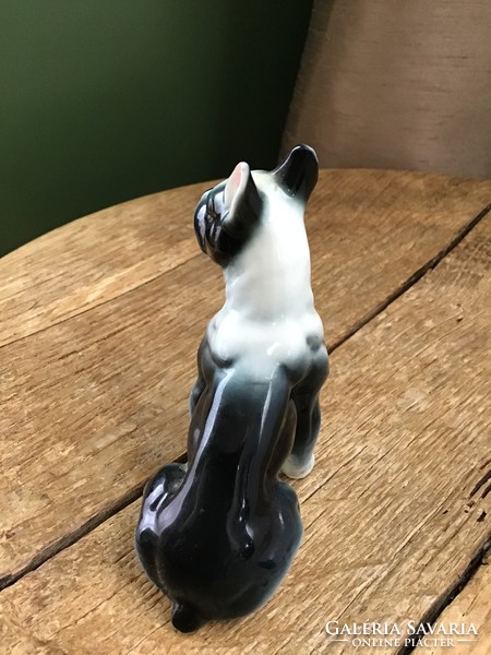 Régi kis porcelán kutya figura
