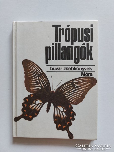 Búvár Zsebkönyvek Móra Kiadó 1982 Trópusi pillangók