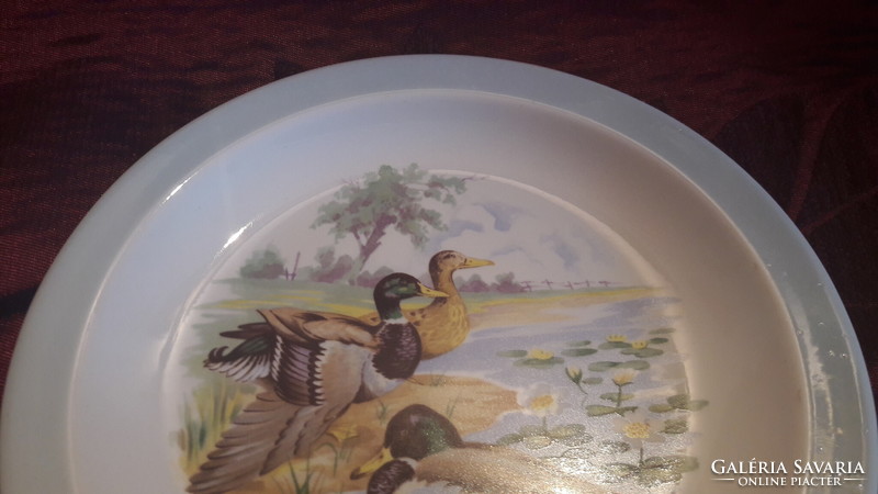Duck porcelain plate 1 (m2909)