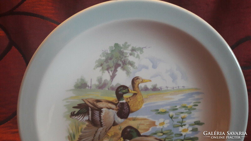 Duck porcelain plate 1 (m2909)
