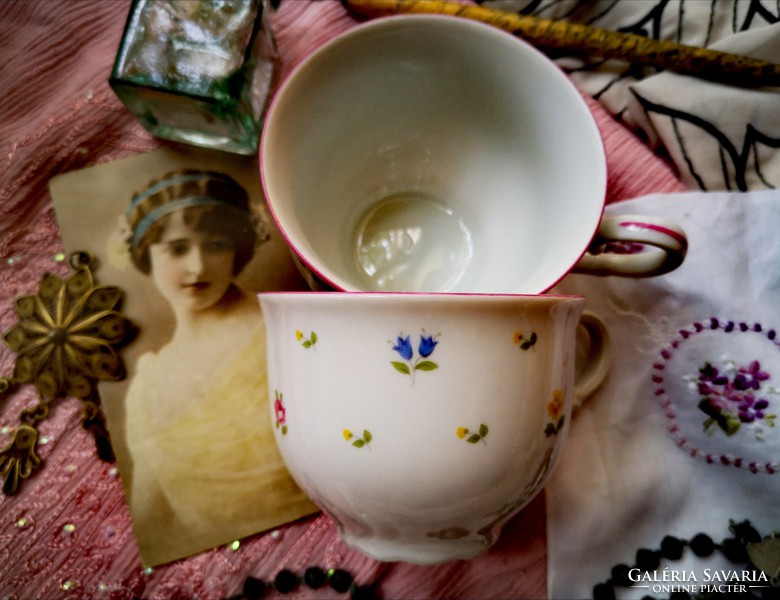 Mz Altrohlau tea cup