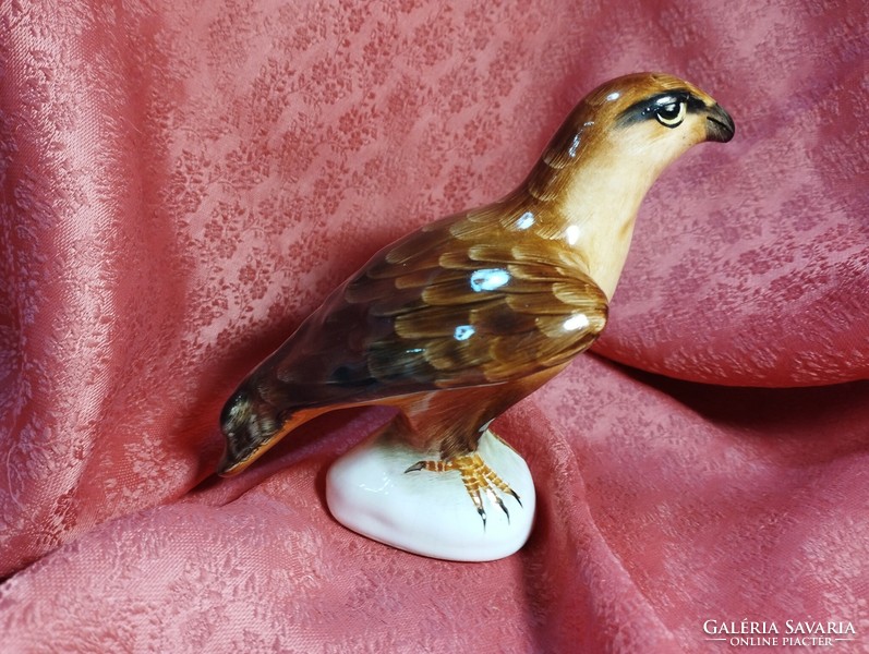 Gyönyörű porcelán madár, nipp